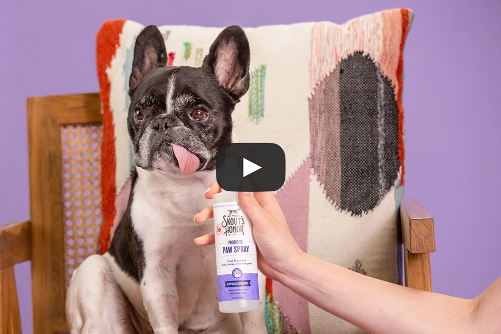 Life Changing Pet Essentials — film 2
