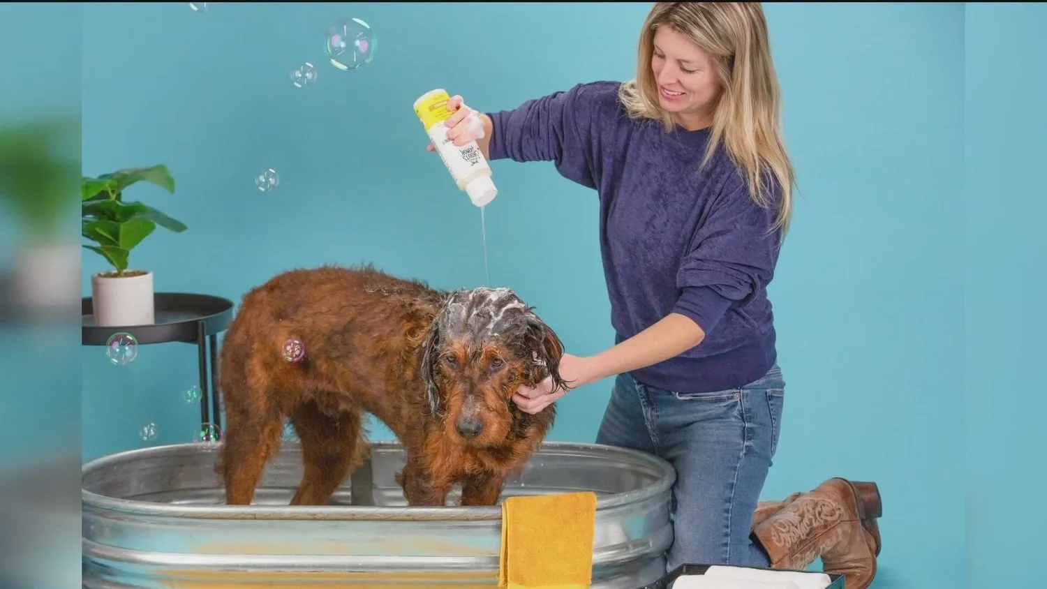 Skout's Honor — Life Changing Pet Essentials