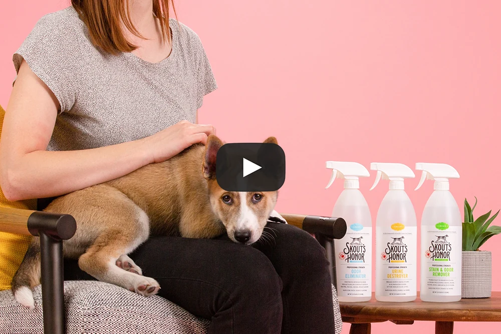 Life Changing Pet Essentials — film 5