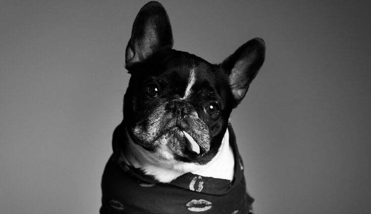 Rupert